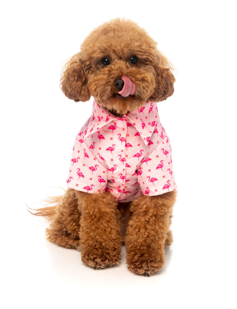 FUZZYARD | Fabboyant Hawaiian Shirt - Image 2
