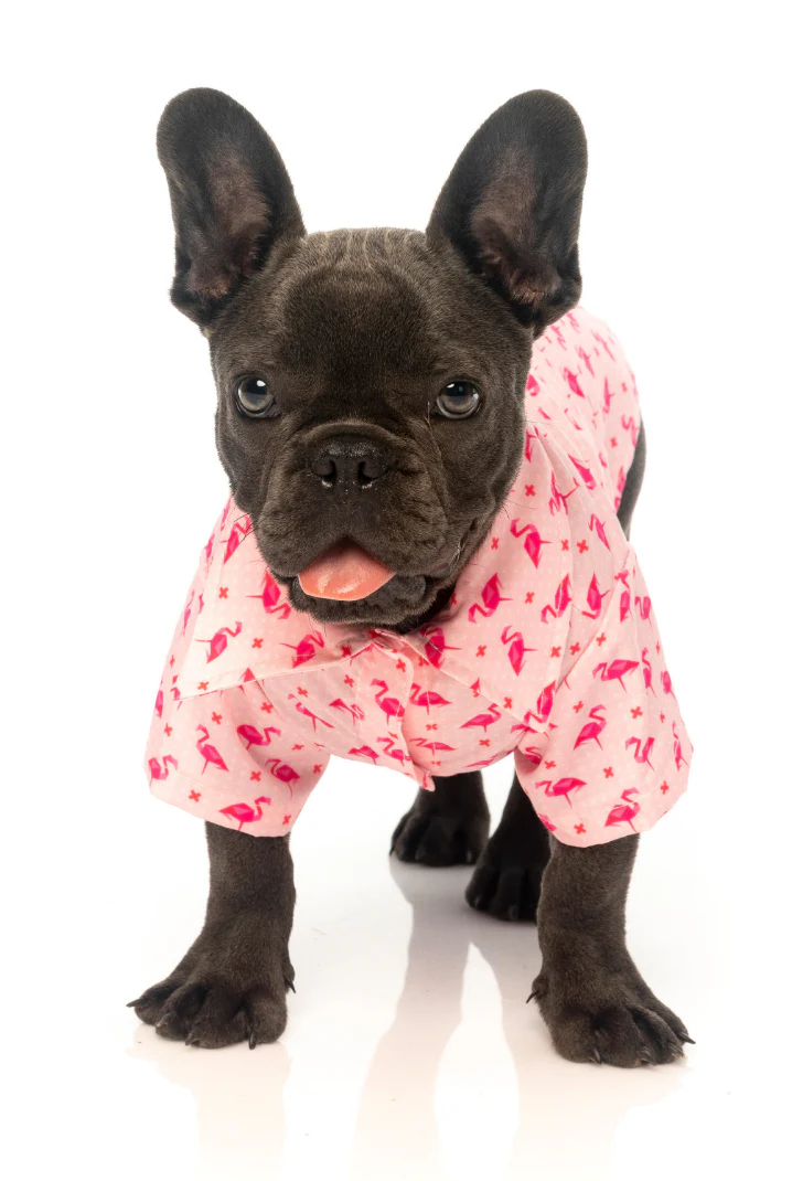 FUZZYARD | Fabboyant Hawaiian Shirt - Image 4