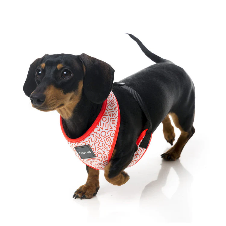 FUZZYARD | Scramble Harness - Image 3