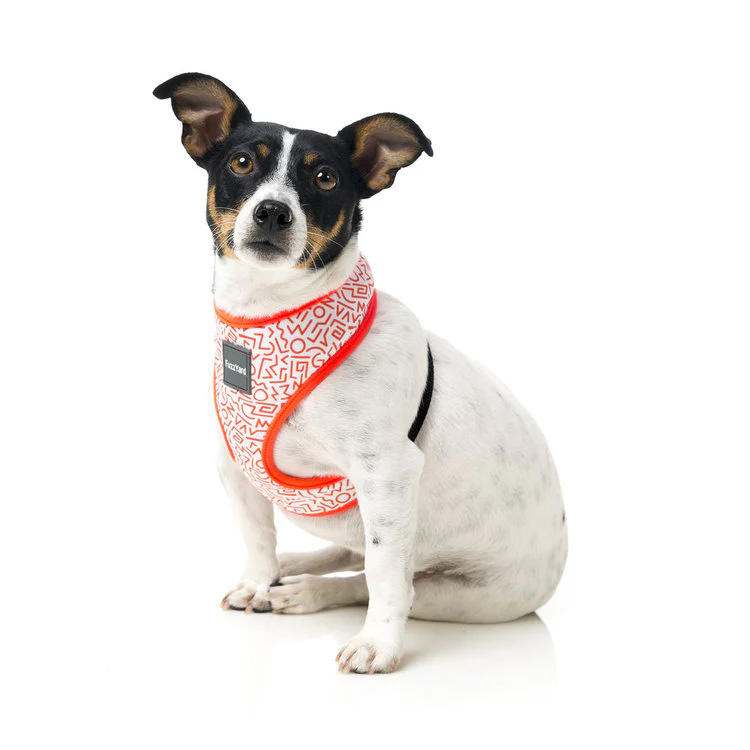 FUZZYARD | Scramble Harness - Image 4