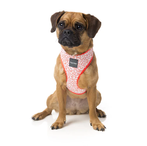 FUZZYARD | Scramble Harness - Image 5