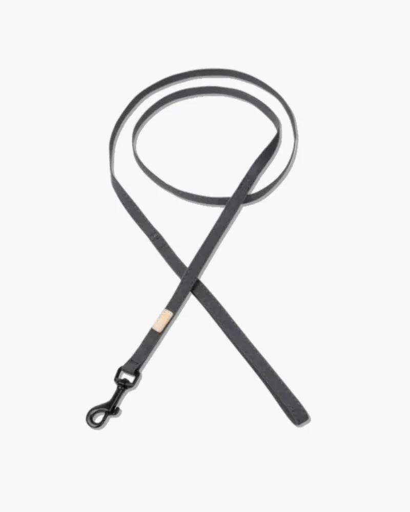 Soft Fabric Dog Leash (with Traffic Loop) in Sandstone, Myrtle Green or Soft Blush - Image 10