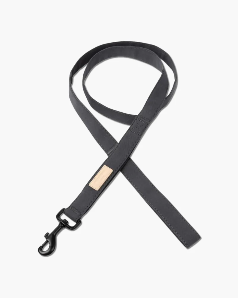 Soft Fabric Dog Leash (with Traffic Loop) in Sandstone, Myrtle Green or Soft Blush - Image 12