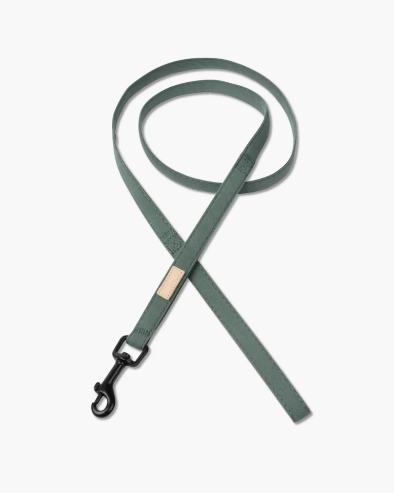 Soft Fabric Dog Leash (with Traffic Loop) in Sandstone, Myrtle Green or Soft Blush - Image 3