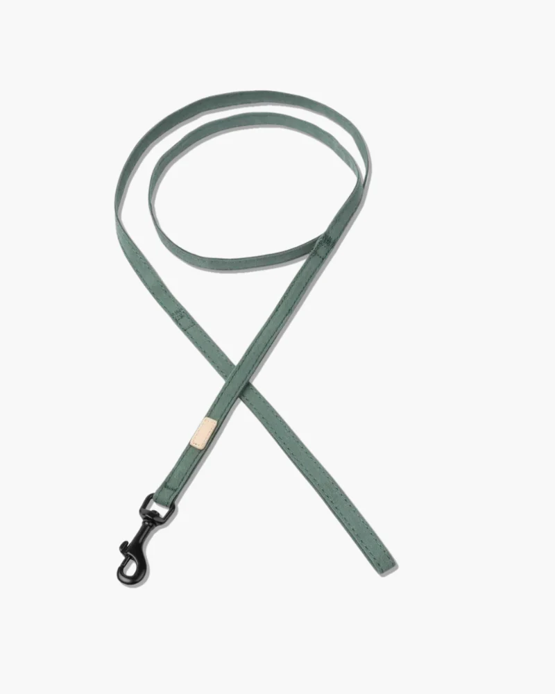 Soft Fabric Dog Leash (with Traffic Loop) in Sandstone, Myrtle Green or Soft Blush - Image 4