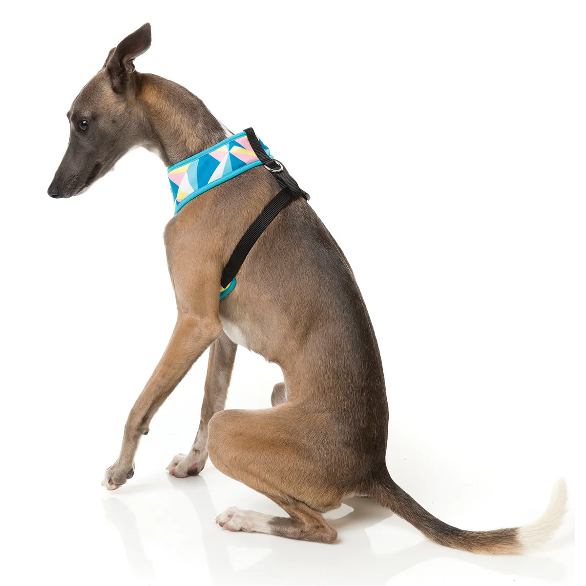 FUZZYARD | South Beach Harness - Image 2