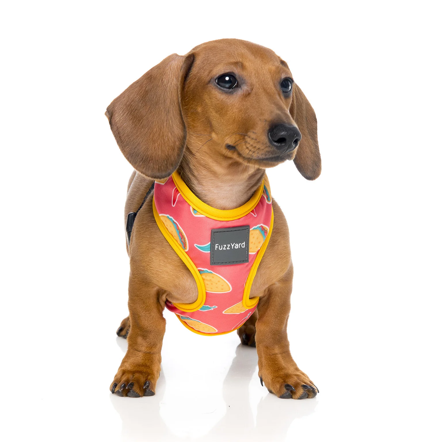 FUZZYARD | Taco Harness - Image 2