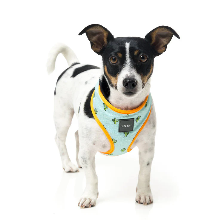 FUZZYARD | Tucson Harness - Image 3