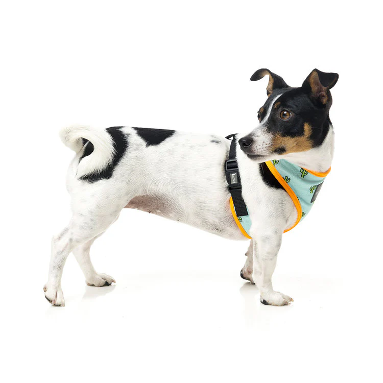 FUZZYARD | Tucson Harness - Image 4