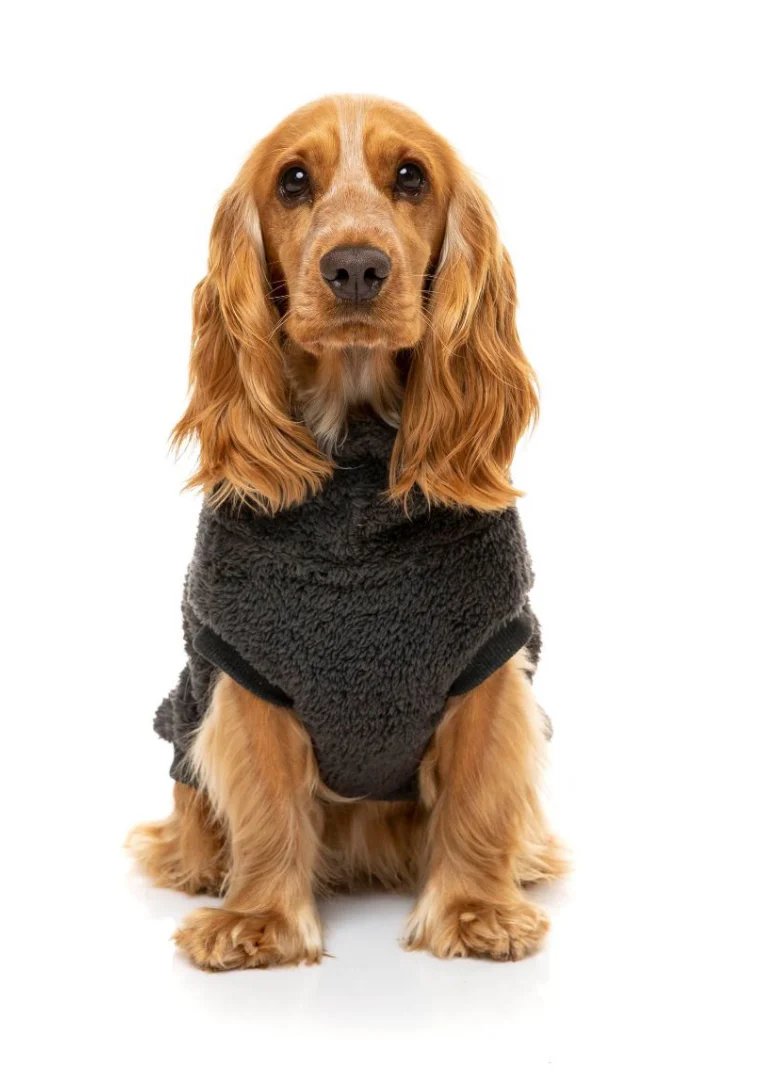 Turtle Teddy Winter Pullover in Charcoal<br>((CLEARANCE)) - Image 3