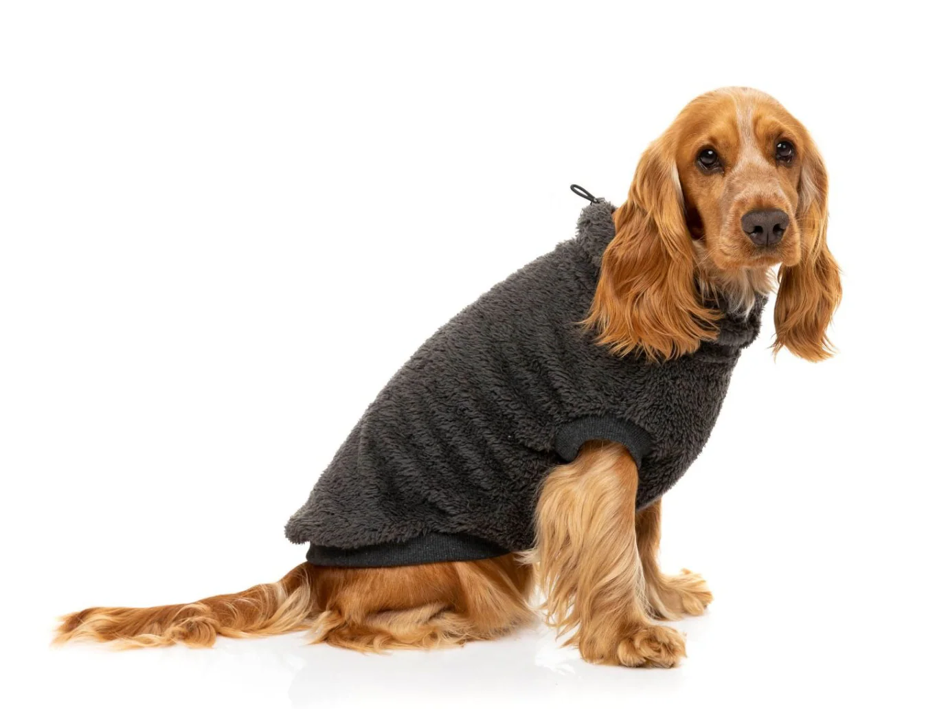 Turtle Teddy Winter Pullover in Charcoal<br>((CLEARANCE)) - Image 4