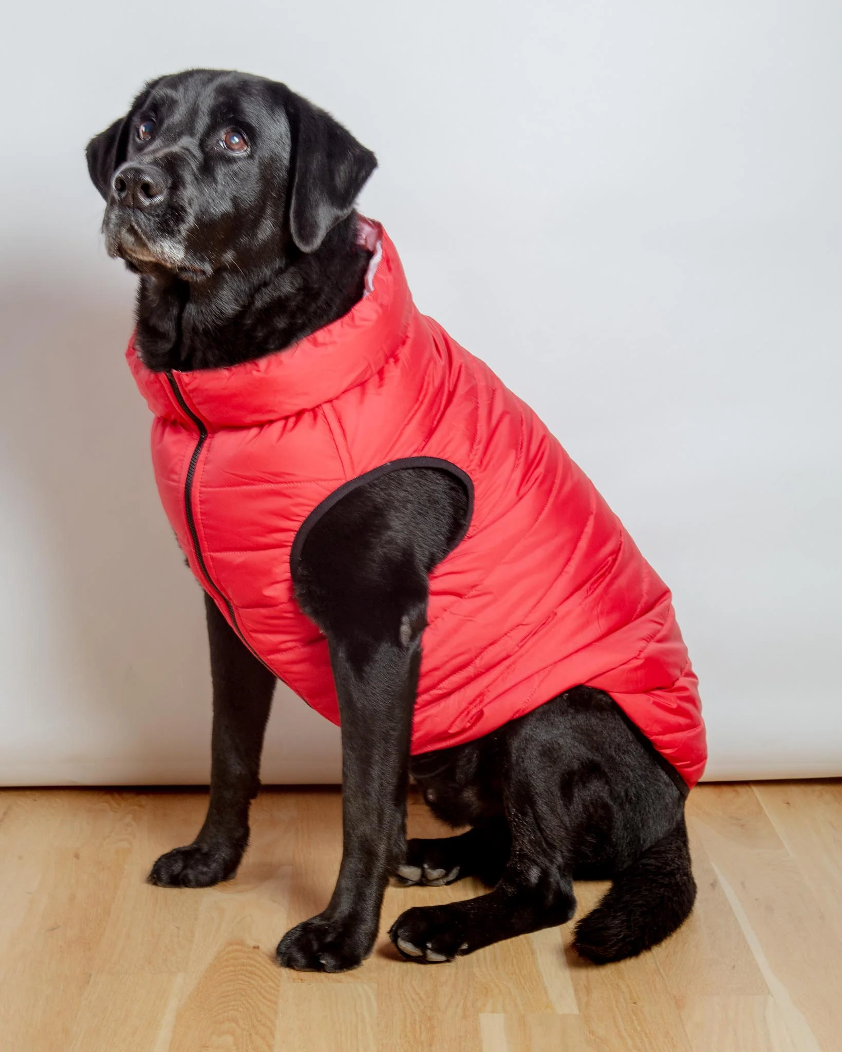 Reversible AiryVest in Strawberry + Blush (DOG & CO. Exclusive) (FINAL SALE) - Image 10