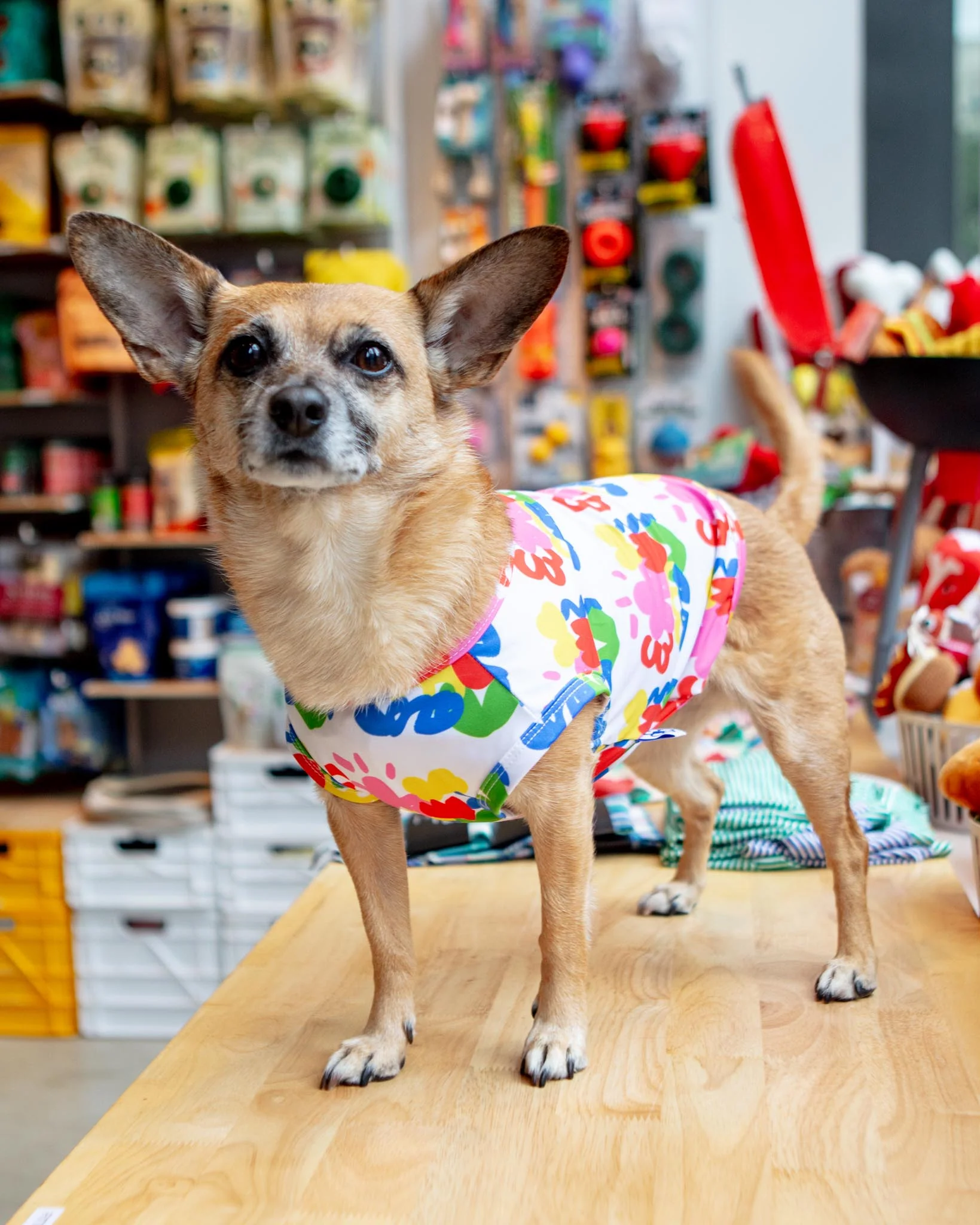 Garden Scribbles Cooling Dog Tee (FINAL SALE) - Image 3