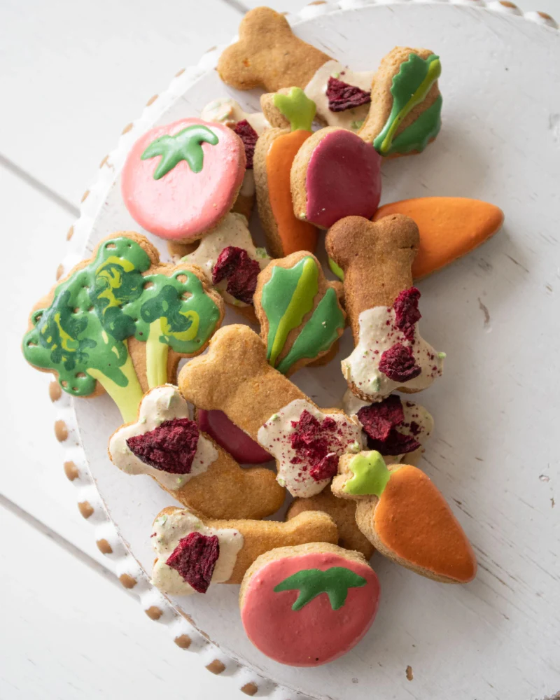 Garden Veggie Treat Spring Mix Dog Biscuit Treats - Image 3