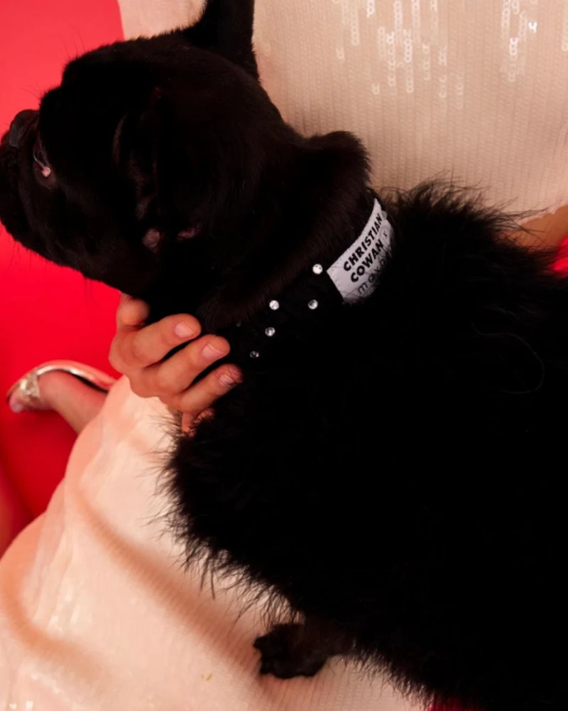 Gemstone + Feather Glitz Jumper in Black - Image 3