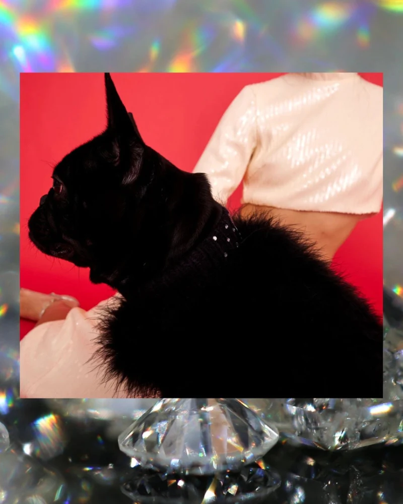 Gemstone + Feather Glitz Jumper in Black - Image 4
