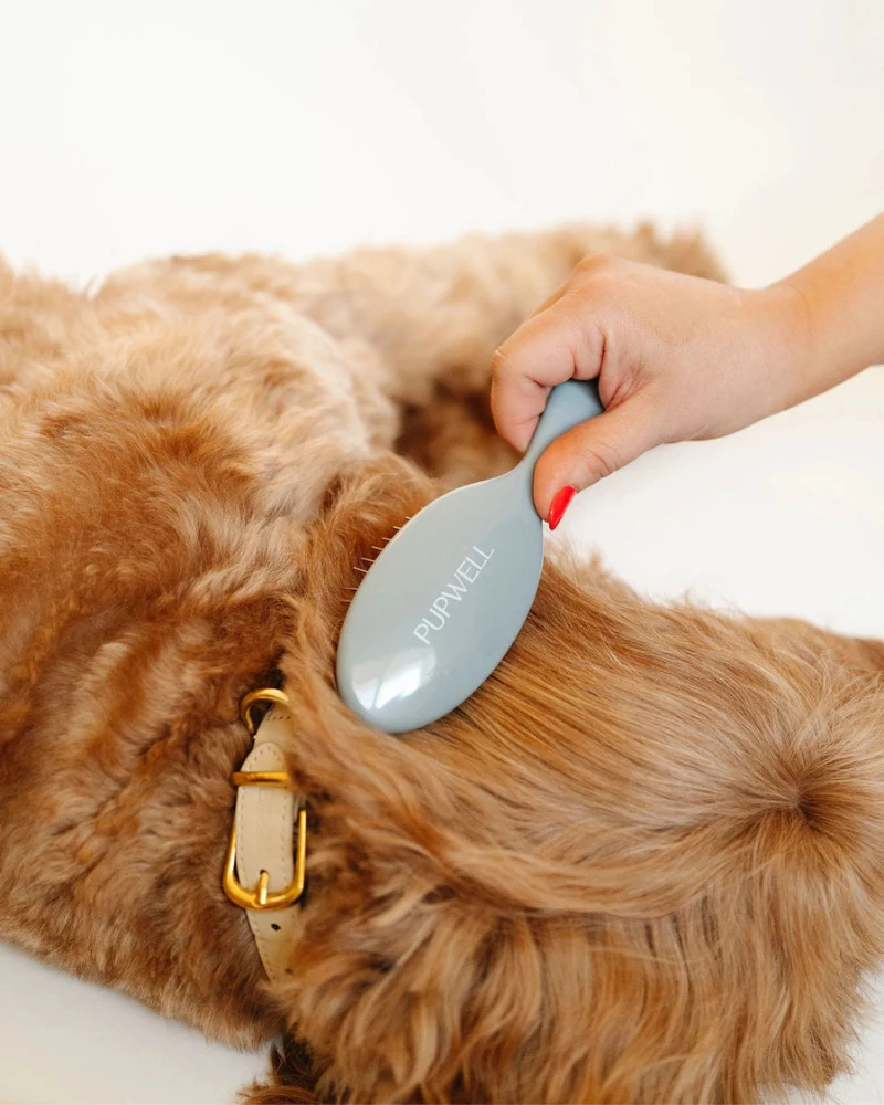 Gentle Detangling Dog Brush - Image 2