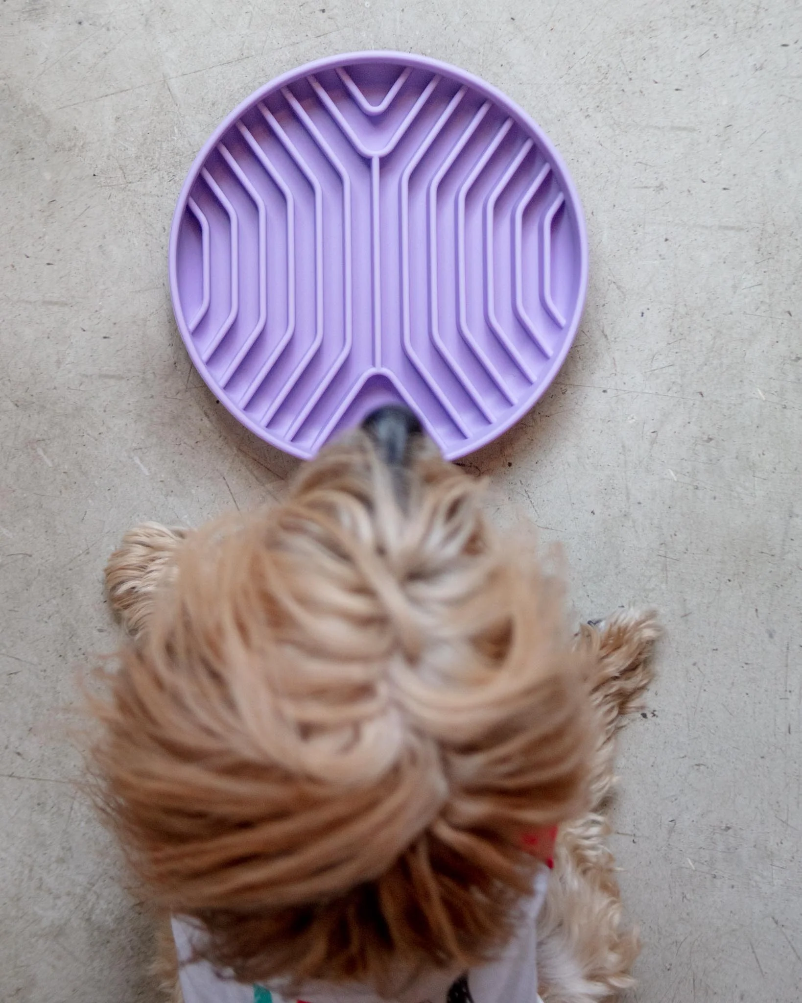 Geometric Silicone + Suction Slow Feeder - Image 2