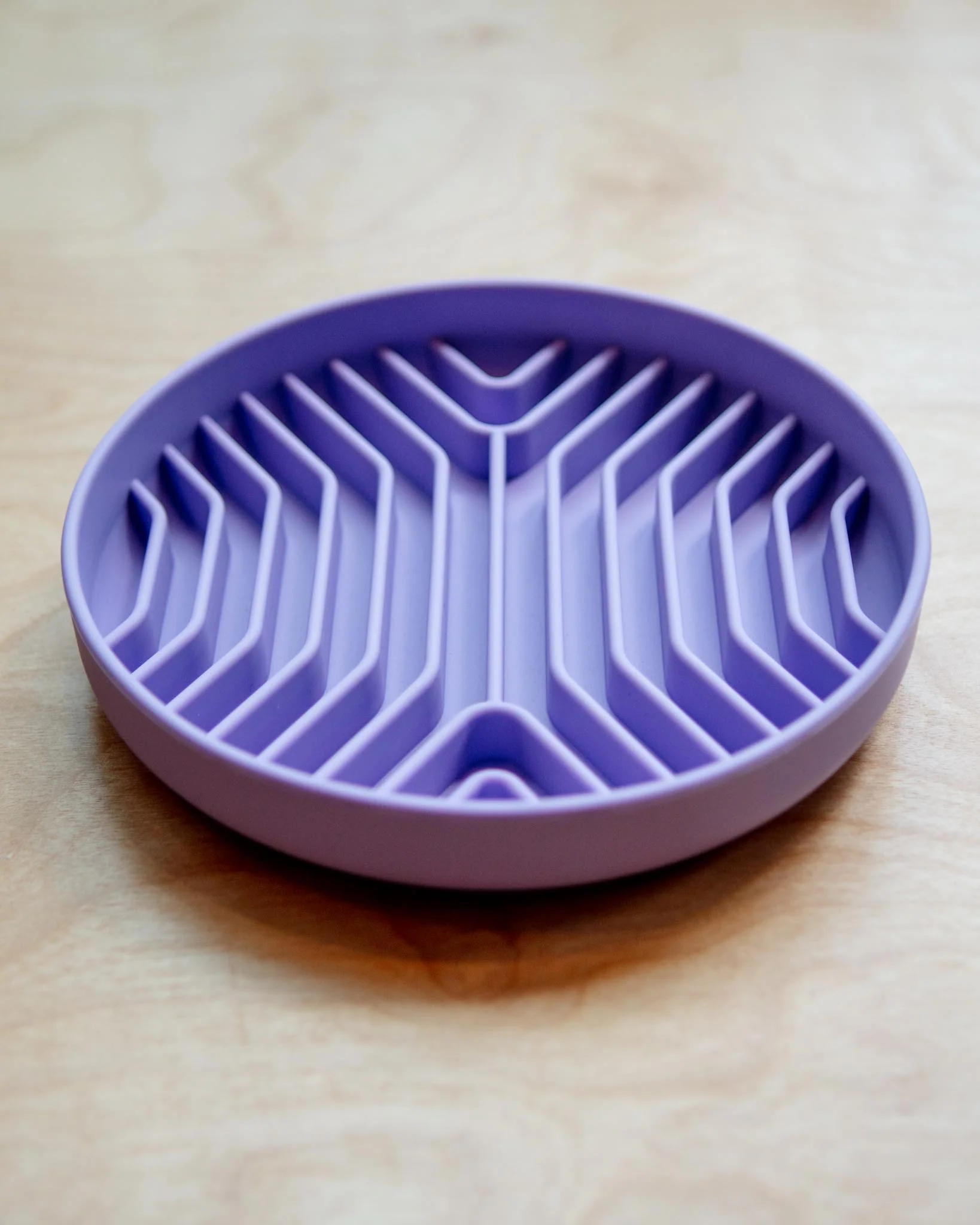 Geometric Silicone + Suction Slow Feeder - Image 3