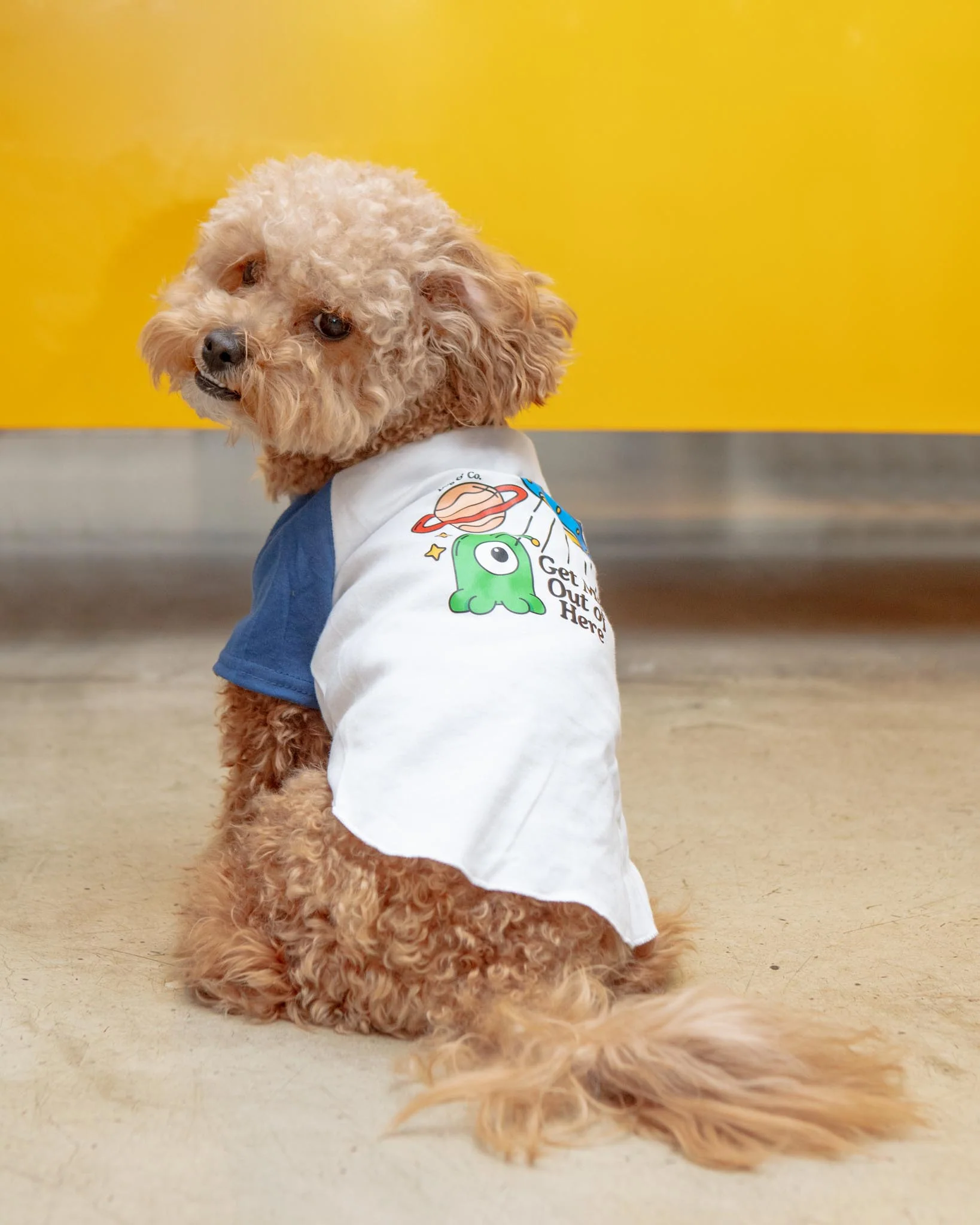 *Get Me Out of Here* Graphic Dog T-Shirt - Image 2