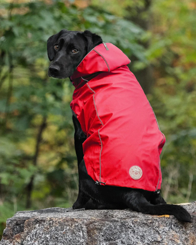 Reversible Waterproof Big Dog Raincoat In Red Plaid (FINAL SALE)