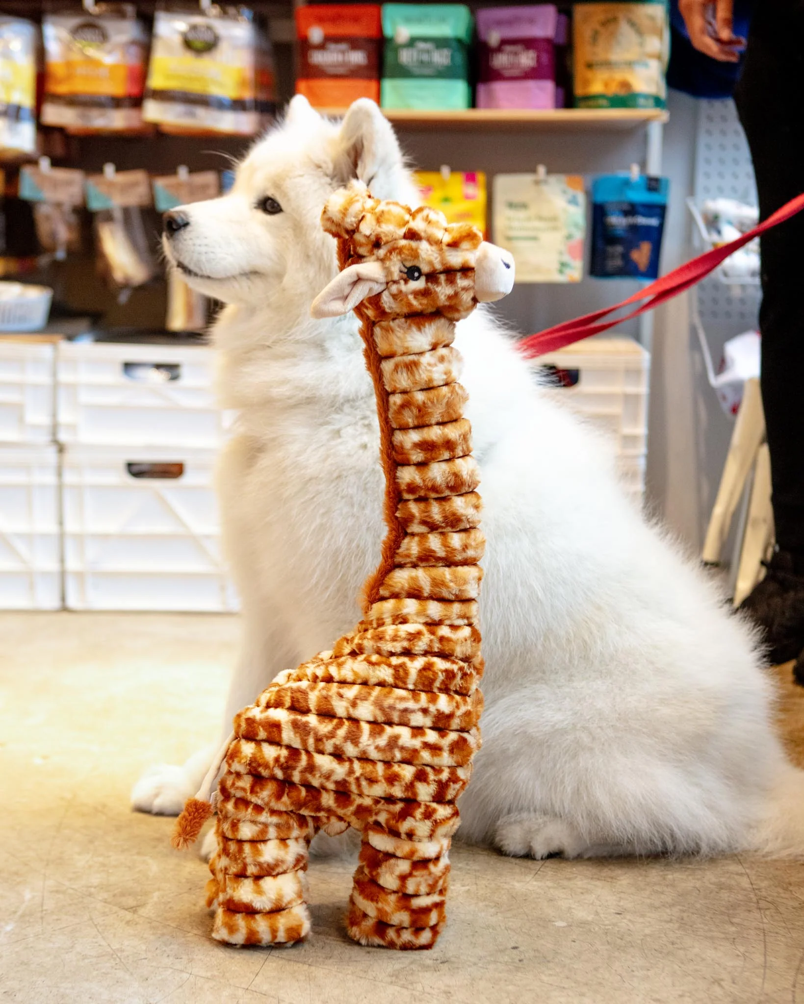 Giant Giraffe Plush Squeaky Dog Toy (26")