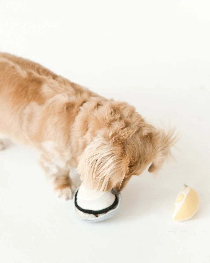 Gillardeau Oyster Dog Plush Toy - Image 5