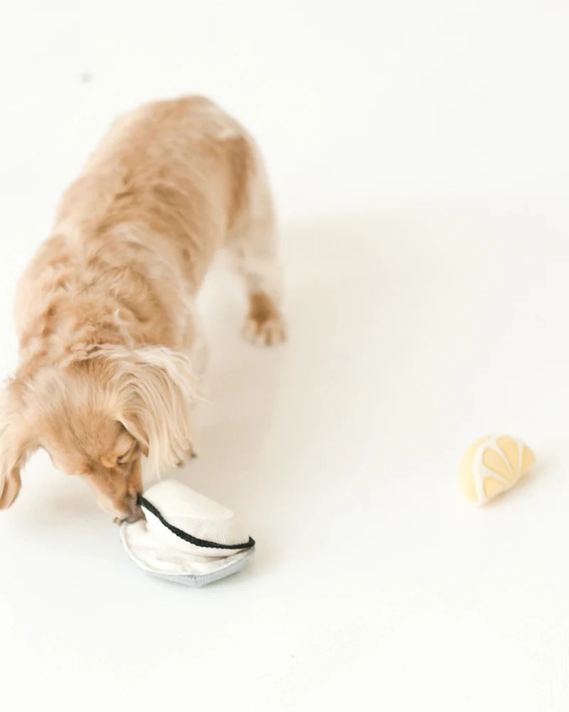 Gillardeau Oyster Dog Plush Toy - Image 6