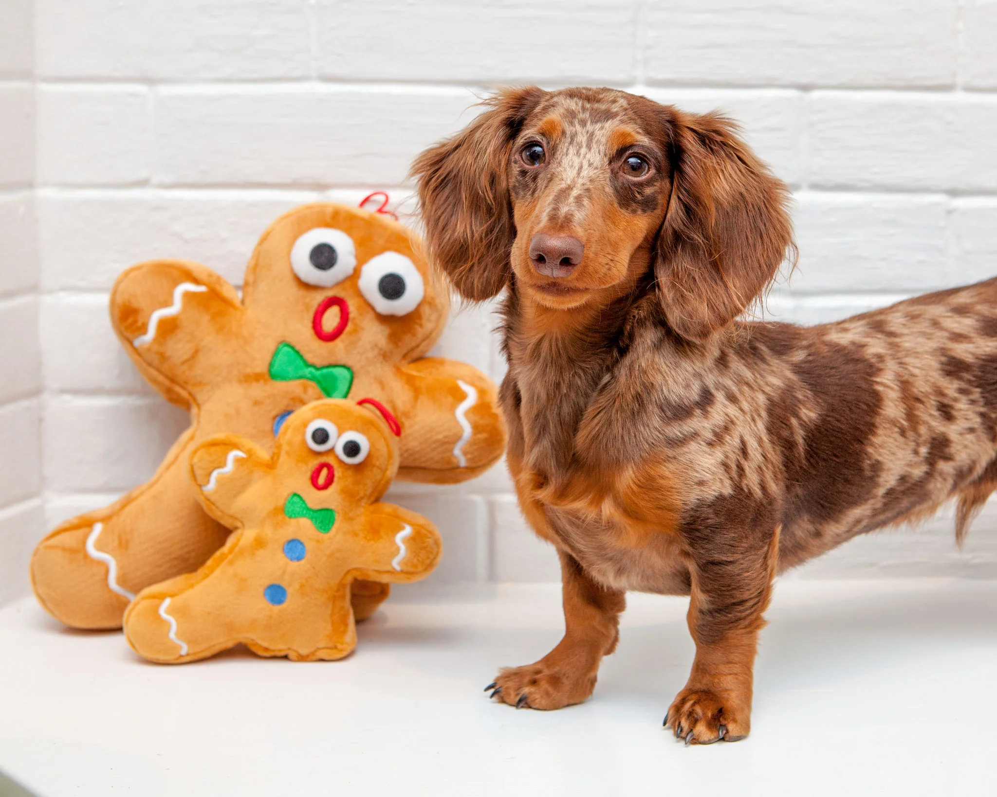 Ginger Snapped Howliday Plush Dog Toy - Image 3