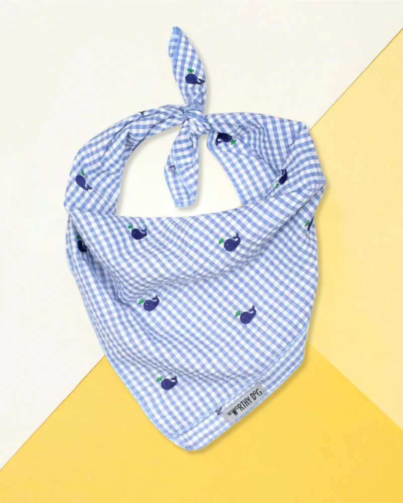 Gingham Seersucker Whale Dog Bandana