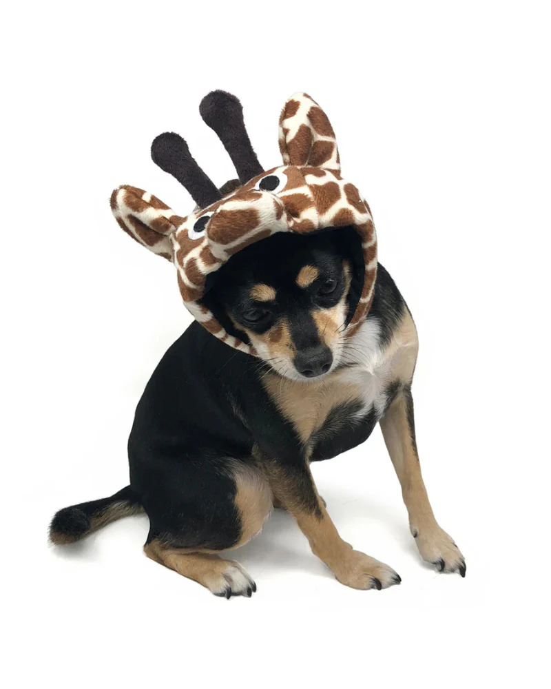 Giraffe Dog Hat - Image 3