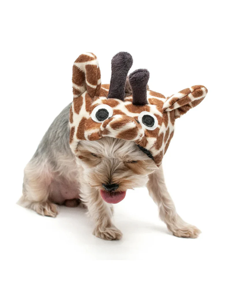 Giraffe Dog Hat - Image 8