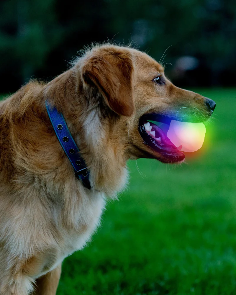 GlowStreak® Disco LED Dog Ball Toy - Image 3