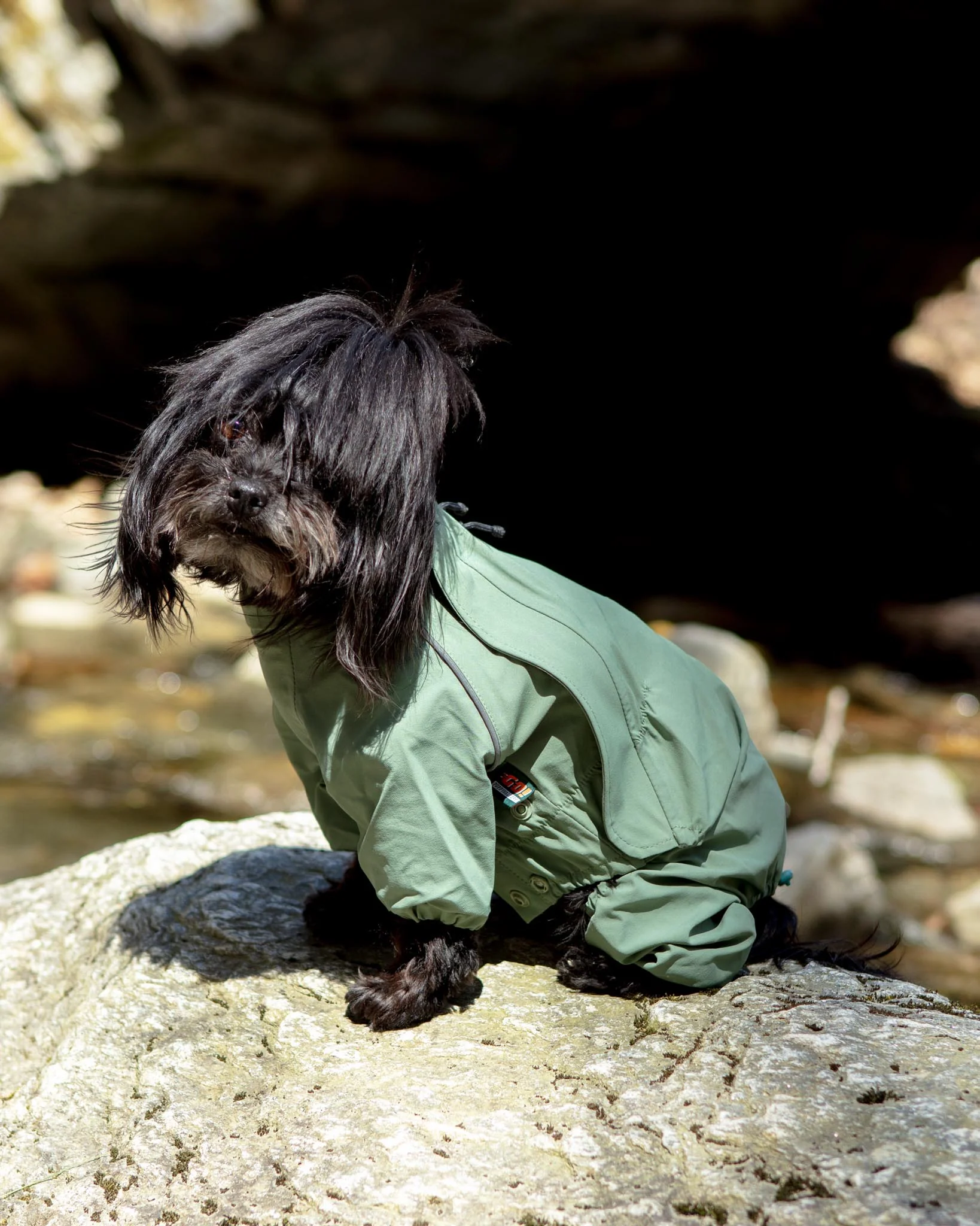 Go-Pro Dog Rainsuit in Khaki - Image 3