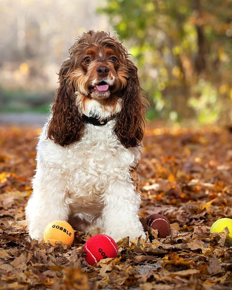GOBBLE Dog Tennis Ball - Image 2