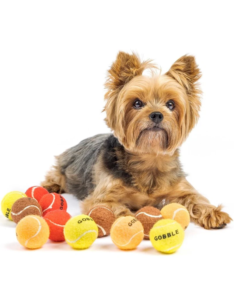 Gobble Gobble Mini Tennis Ball for Small Dogs - Image 3