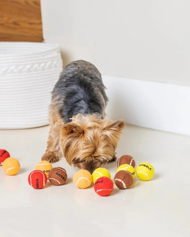 Gobble Gobble Mini Tennis Ball for Small Dogs - Image 5