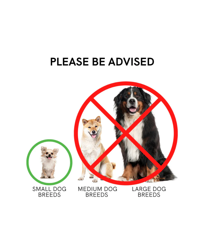 Gobble Gobble Mini Tennis Ball for Small Dogs - Image 6