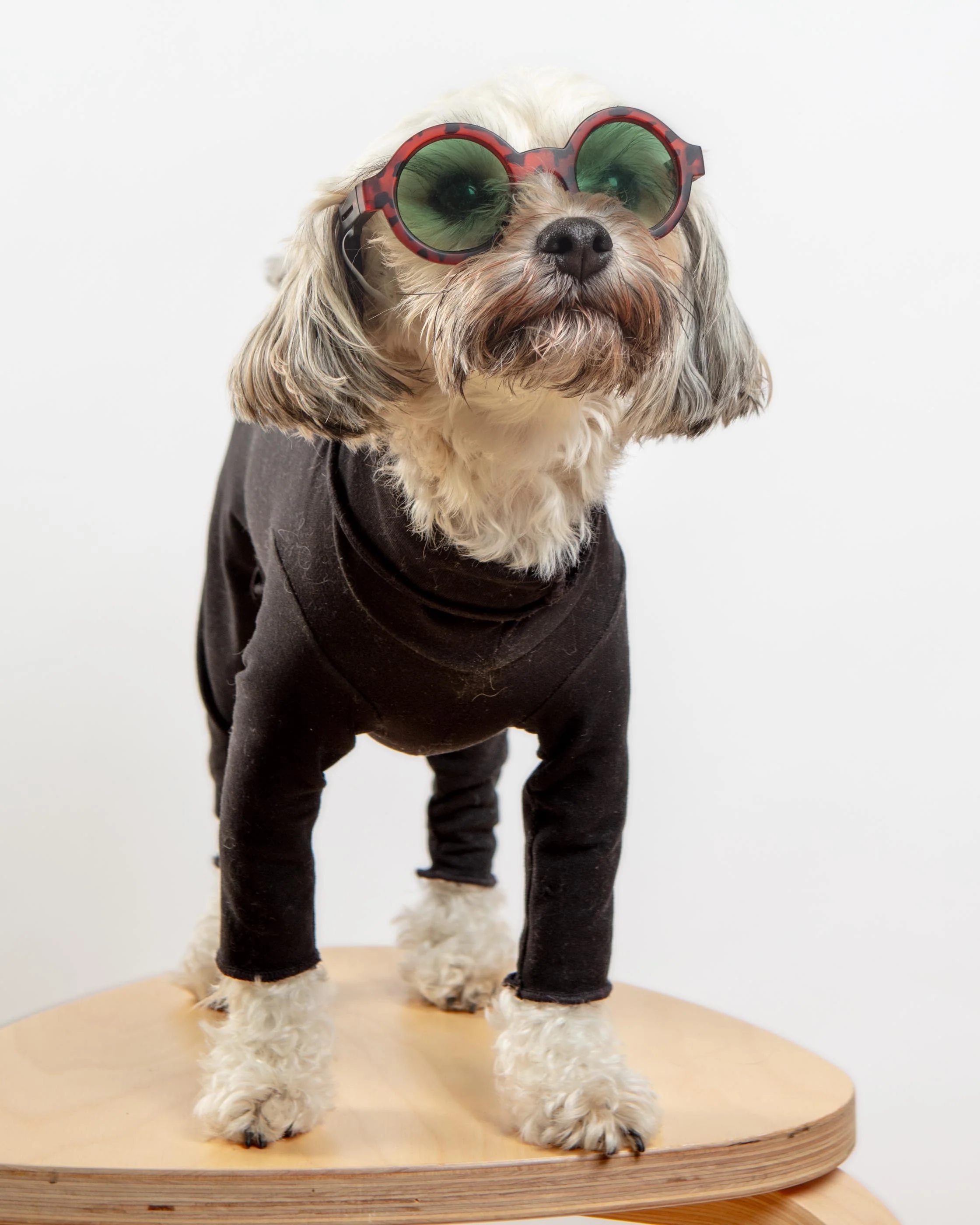 Gold Paw Body Warm Onesie Dog Suit in Black (Made in the USA)