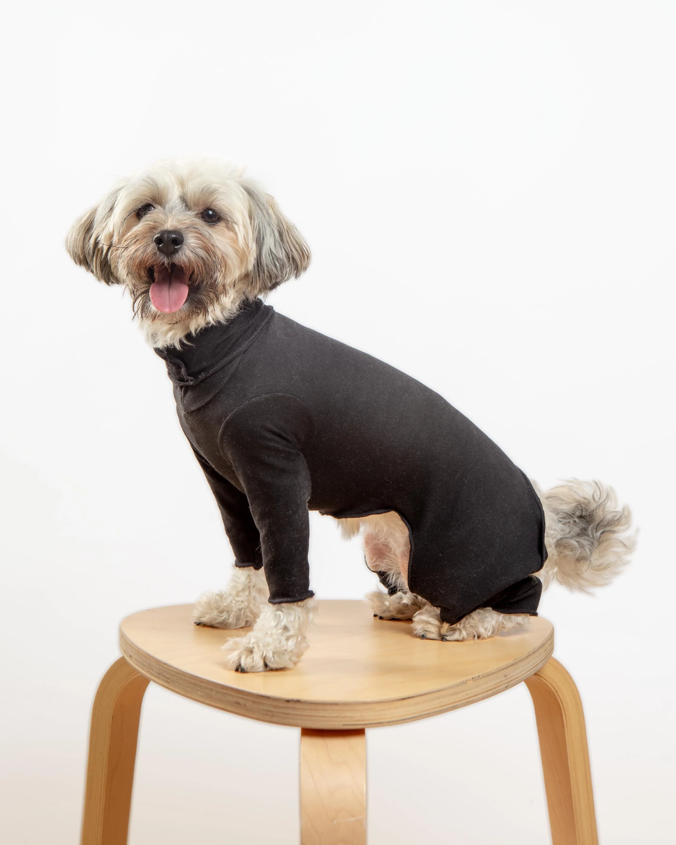 Gold Paw Body Warm Onesie Dog Suit in Black (Made in the USA) - Image 2