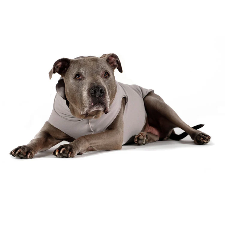 GOLD PAW | Santa Fe Pullover in Vintage Violet - Image 2