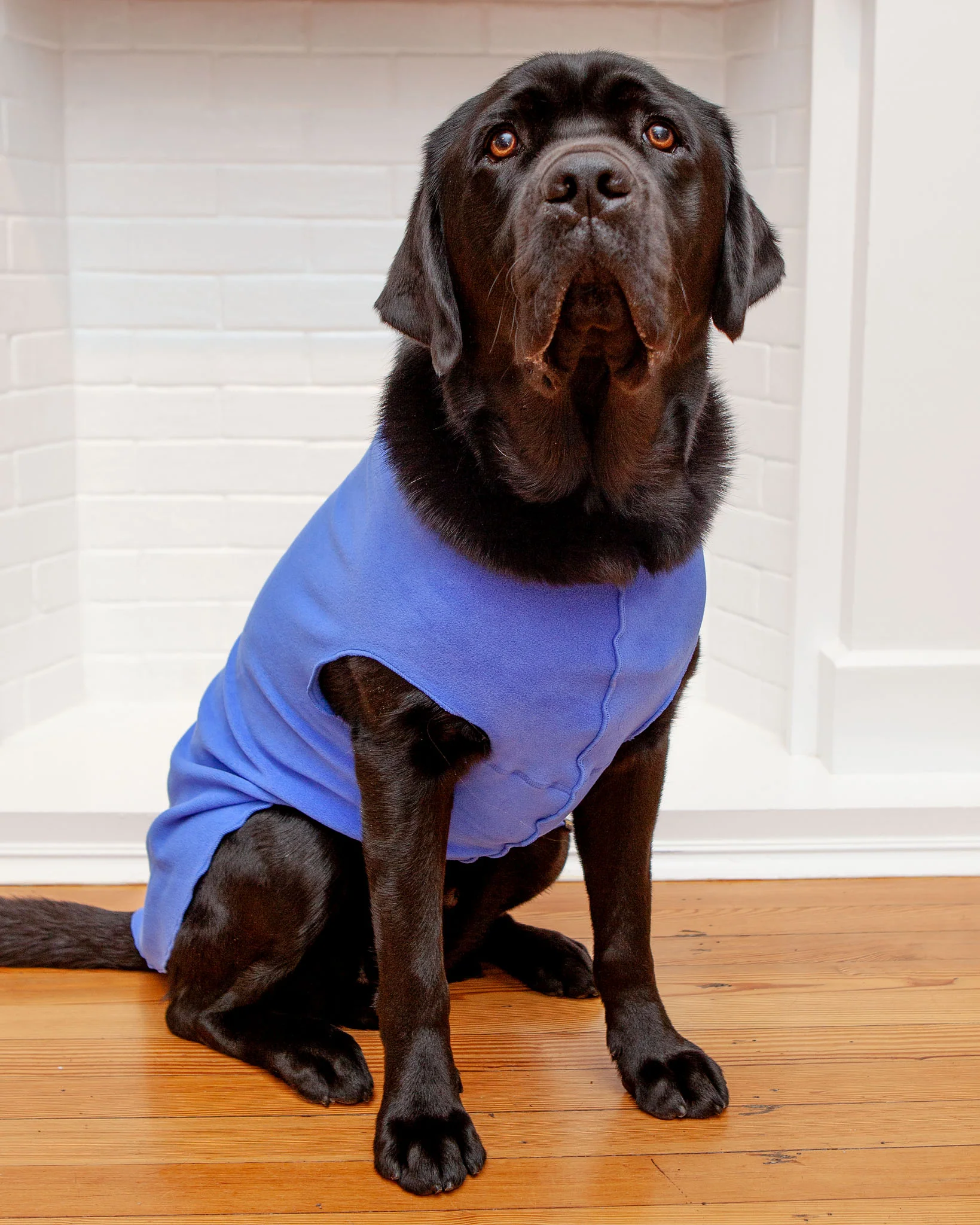 Stretch Fleece Pullover in Cornflower Blue - Image 4