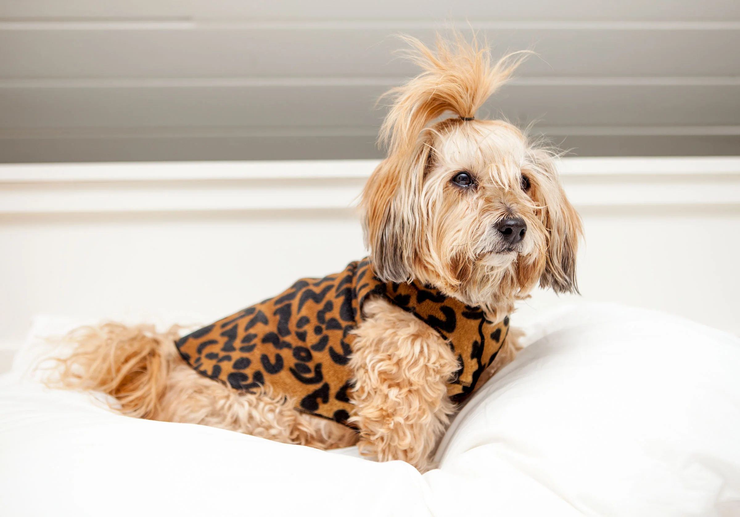 Stretch Fleece Pullover in Leopard Print - Image 3