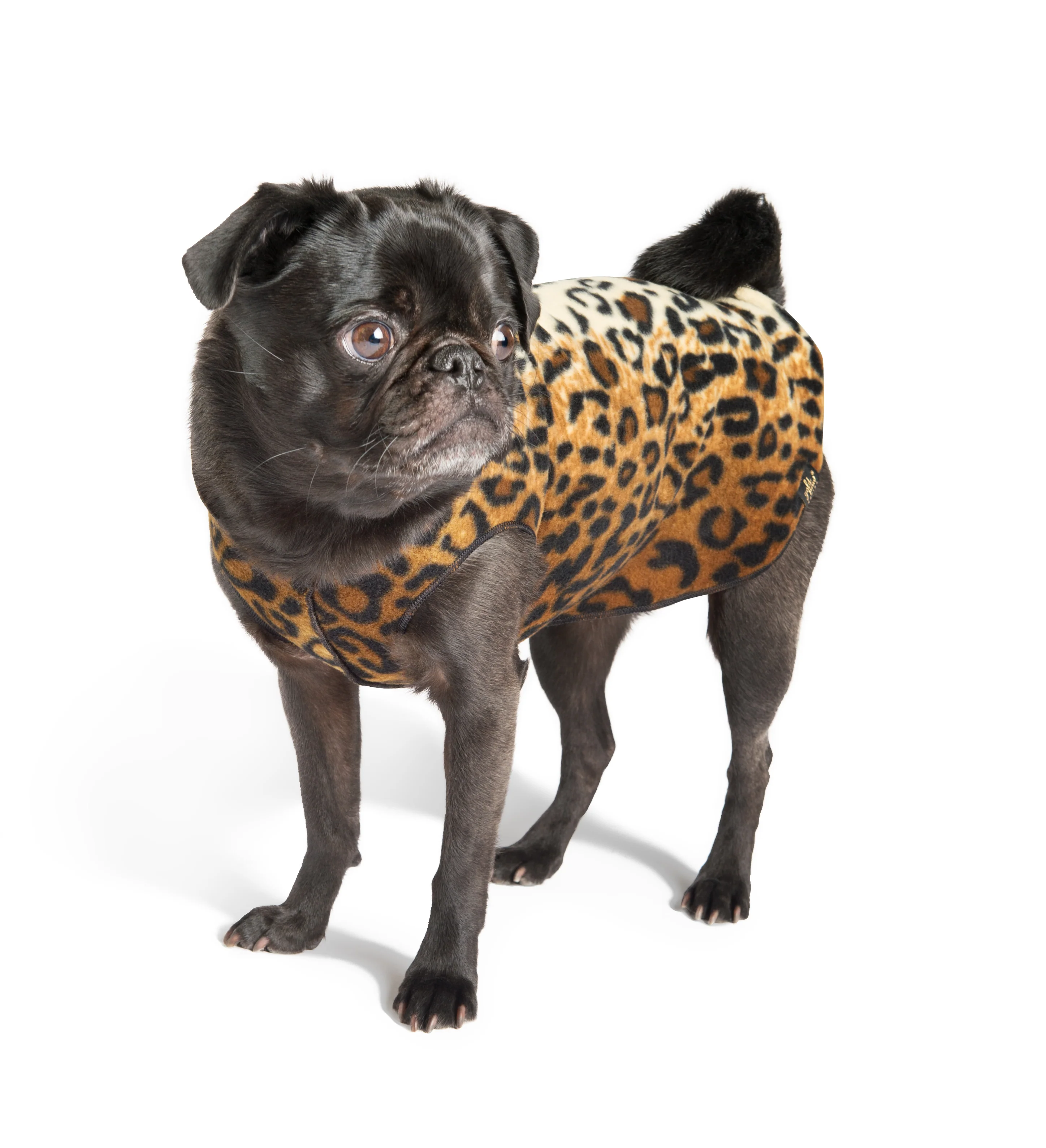 Stretch Fleece Pullover in Leopard Print - Image 5
