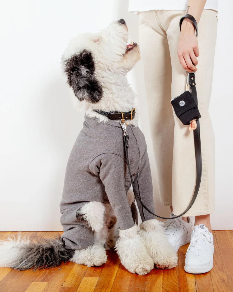Stretch Fleece Onesie in Charcoal (Made in the USA, DOG & CO. + GOLD PAW Exclusive!) - Image 2