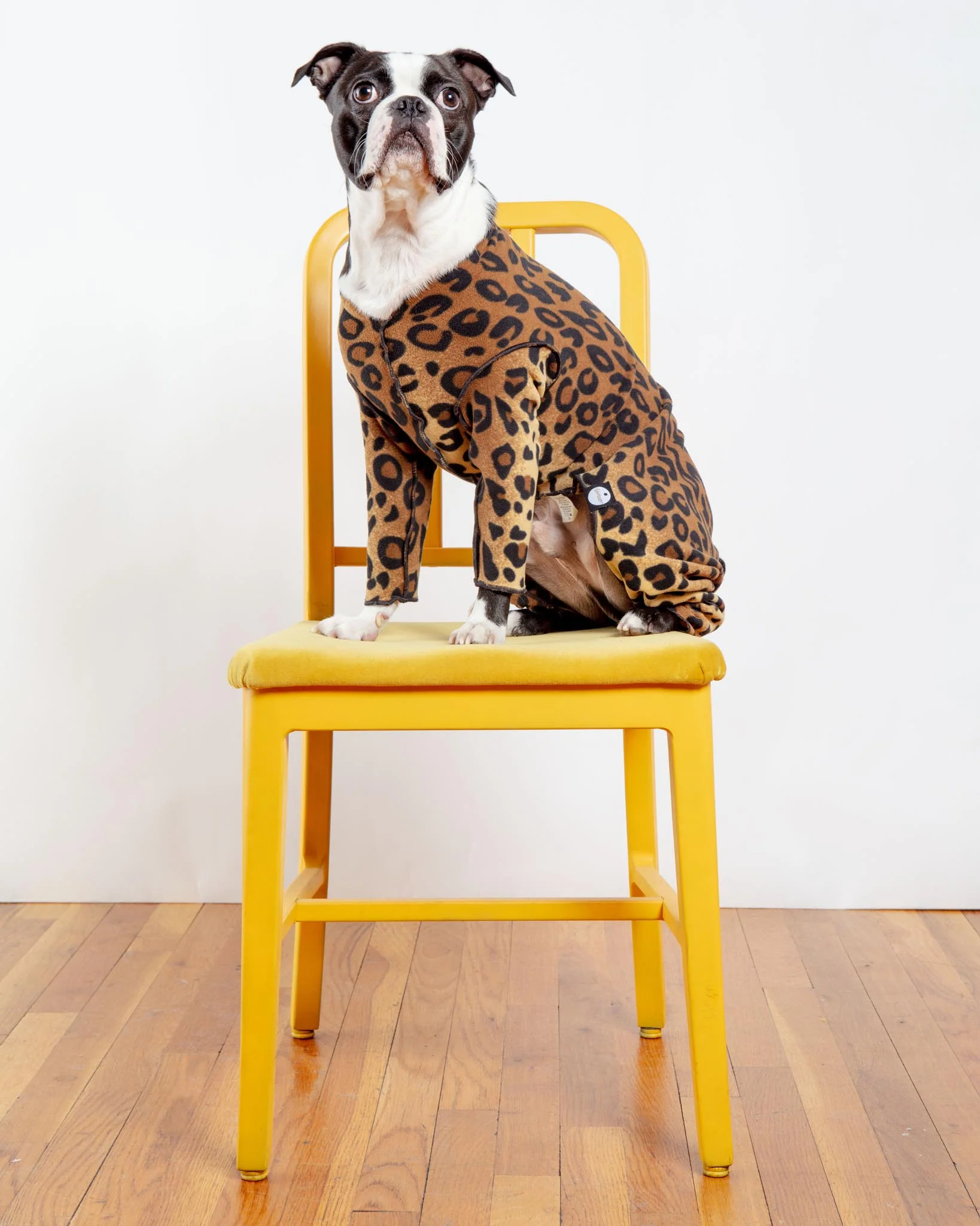 Stretch Fleece Onesie in Leopard (Made in the USA, DOG & CO. + GOLD PAW Exclusive!) - Image 3