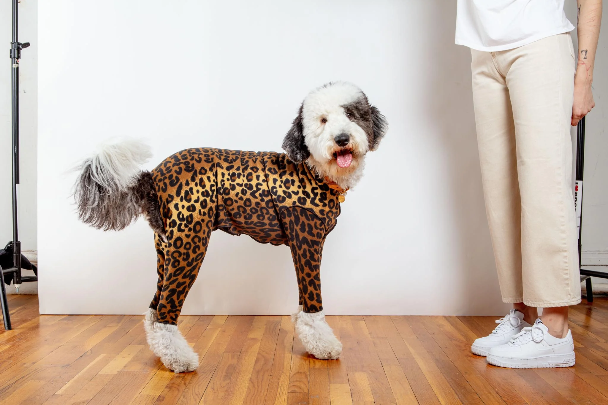Stretch Fleece Onesie in Leopard (Made in the USA, DOG & CO. + GOLD PAW Exclusive!) - Image 5