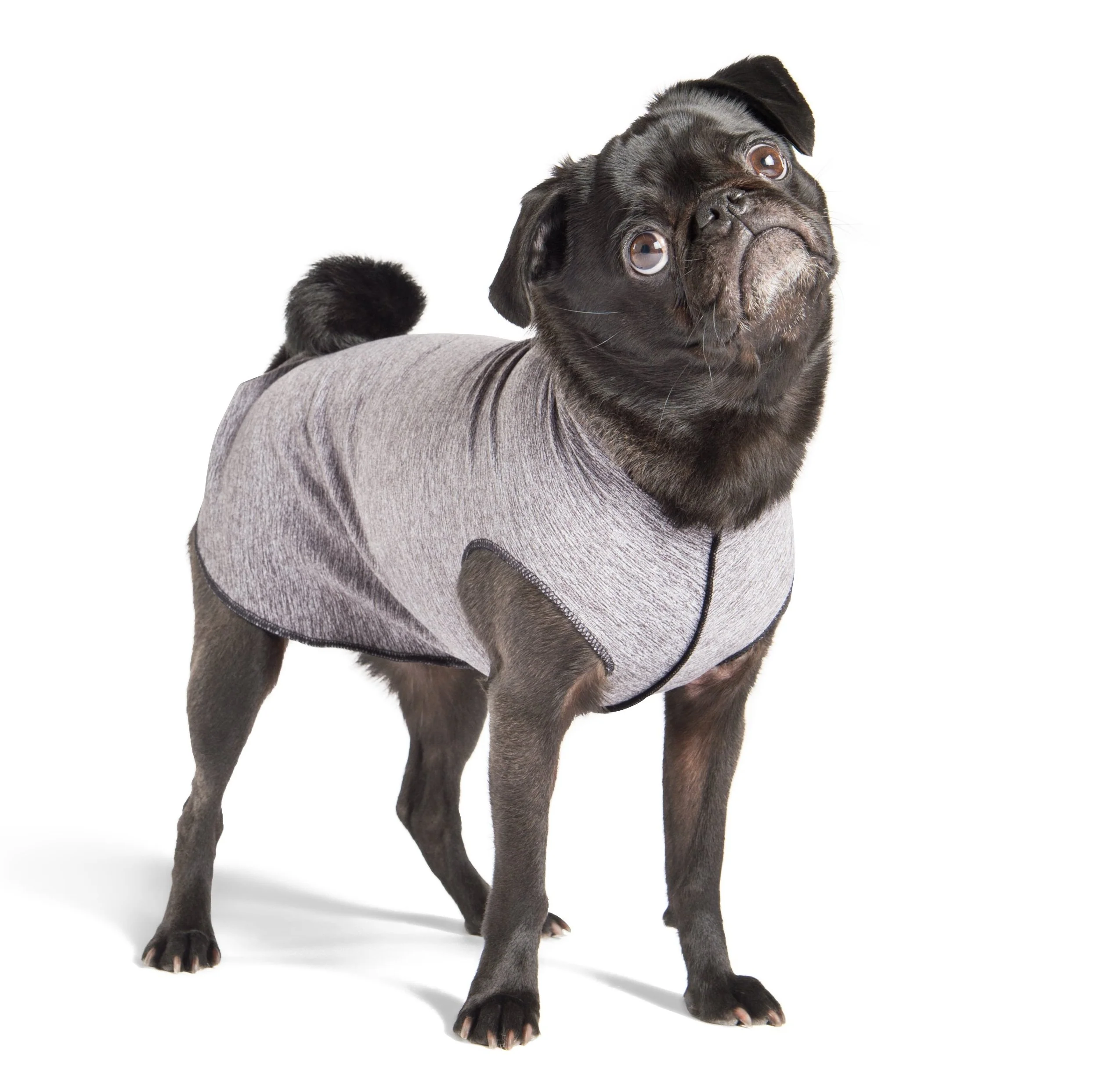 GOLD PAW | Sun Shield Tee in Grey Heather - Image 2
