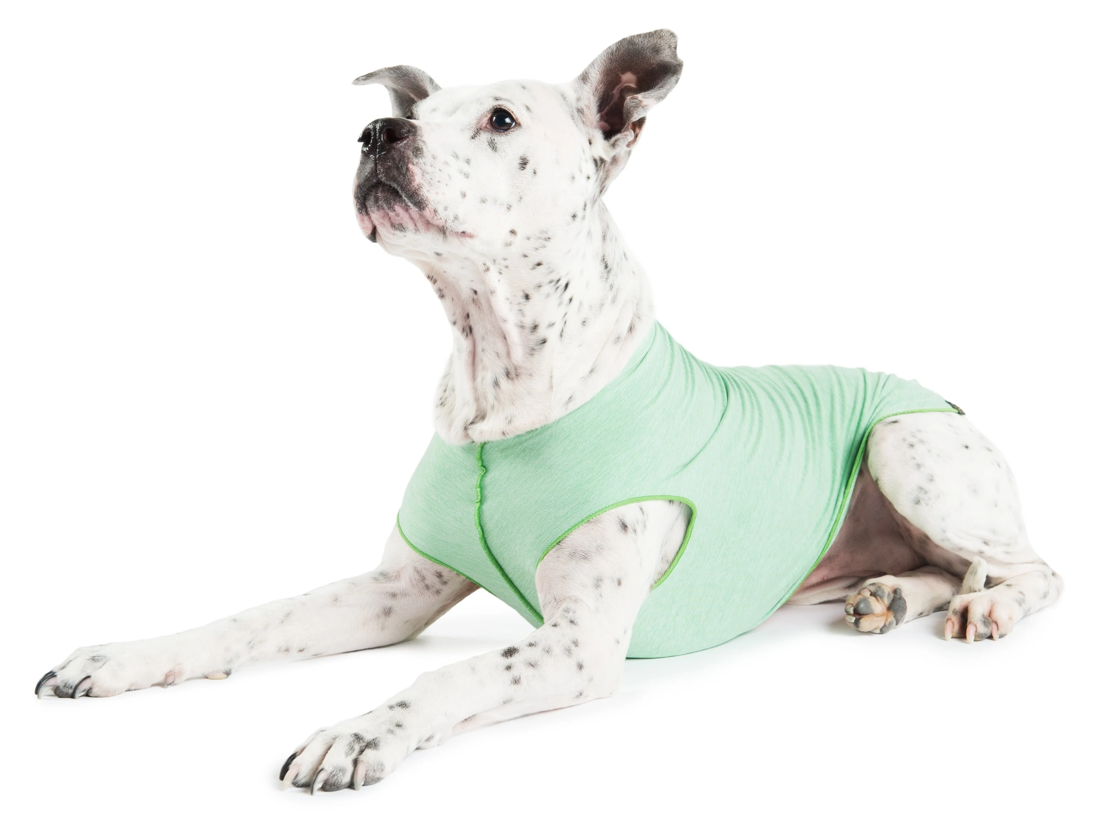 GOLD PAW | Sun Shield Tee in Pistachio Heather - Image 2