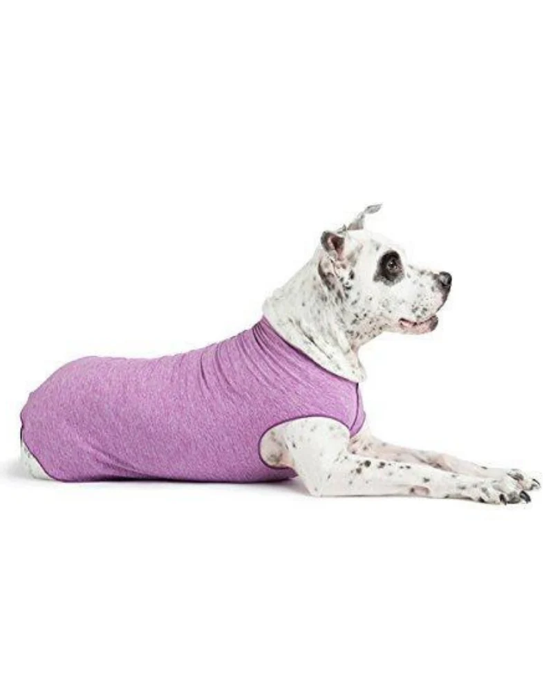 Sun Shield Dog Tee in Violet (Made in the USA) << CLEARANCE >> - Image 2